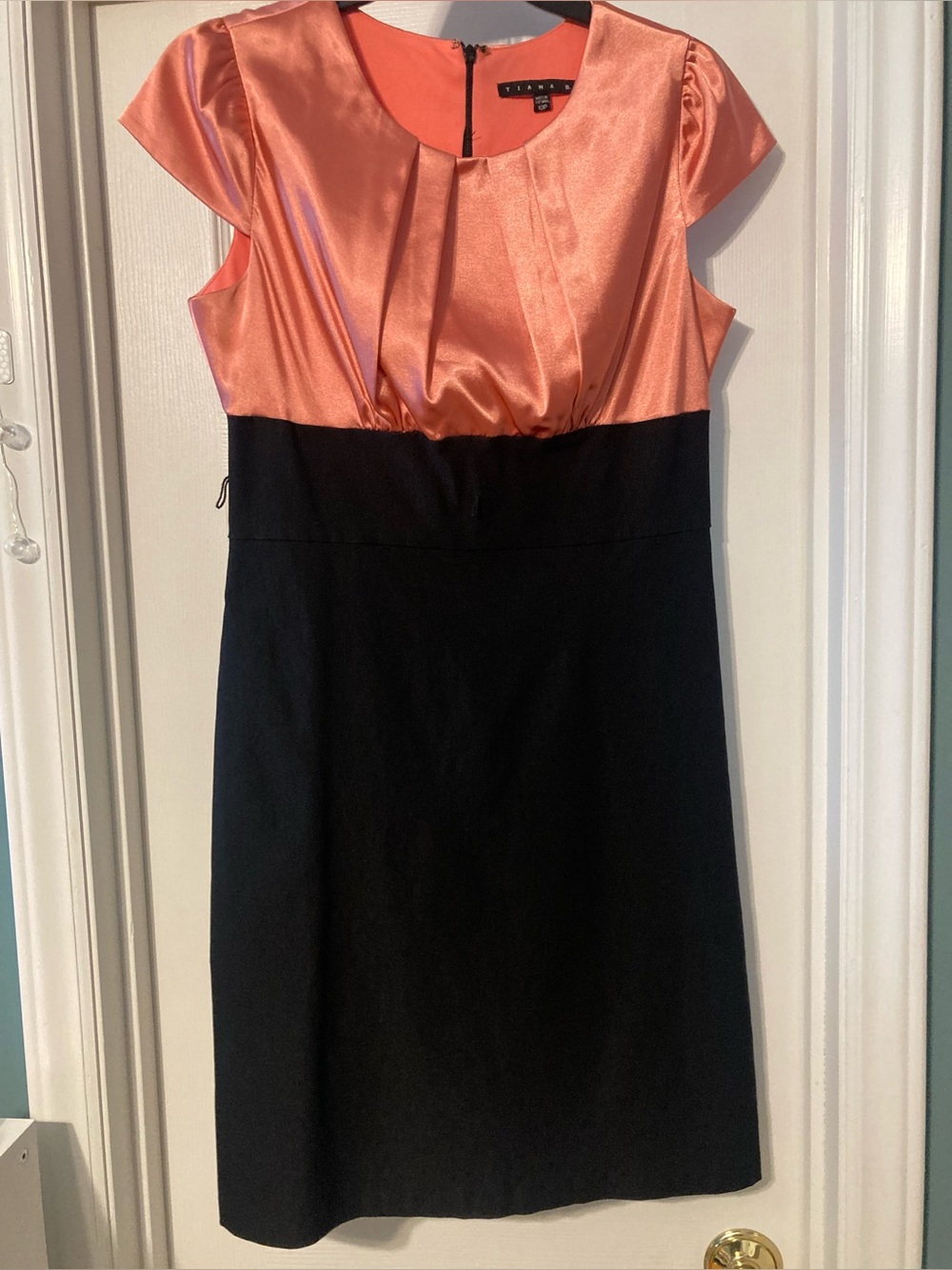 Tiana B. Dress Size 10P